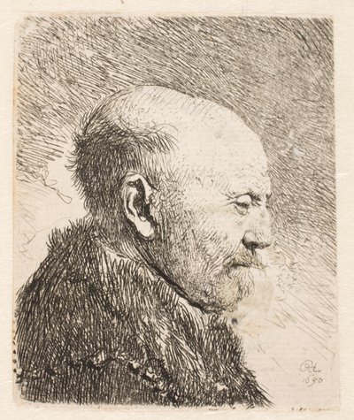 Homme chauve de profil (le père de Rembrandt?) - Rembrandt van Rijn
