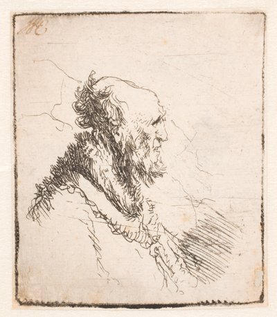 Vieil homme chauve avec une courte barbe, de profil à droite - Rembrandt van Rijn