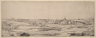 Paysage avec vue sur Haarlem (Le champ des peseurs d