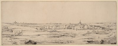 Paysage avec vue sur Haarlem (Le champ des peseurs d