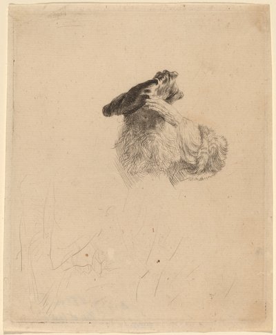Vieil homme se protégeant les yeux avec sa main - Rembrandt van Rijn
