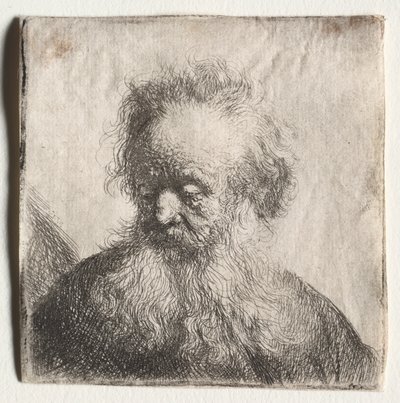 Vieil homme à la barbe flottante : Buste, 1631 - Rembrandt van Rijn