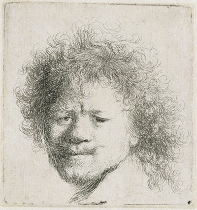 Autoportrait aux cheveux longs et touffus : la tête seule - Rembrandt van Rijn