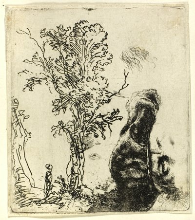Feuille avec deux études : Un arbre, et la partie supérieure de la tête de l