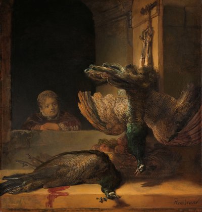 Nature morte avec paons - Rembrandt van Rijn