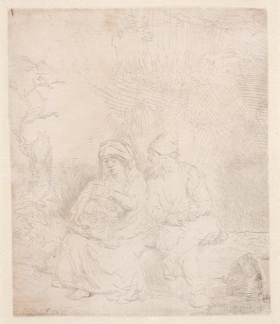 Le reste du vol : légèrement marqué - Rembrandt van Rijn