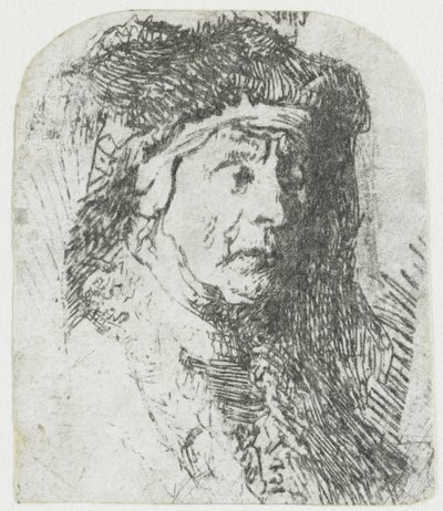 Femme en manteau bordé de fourrure - Rembrandt van Rijn