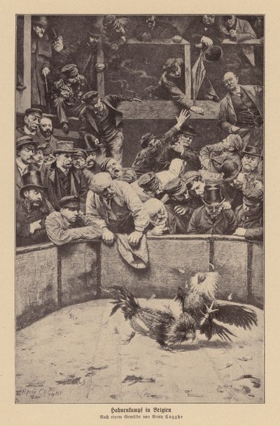 Combat de coqs en Flandre - Remy Cogghe