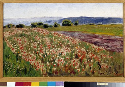 Le champ de coquelicots - Rene Auguste Seyssaud