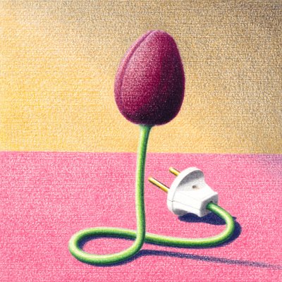 Tulipe électrique - Rene Boin