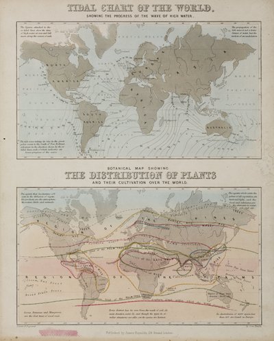 Une carte des marées et une carte de la distribution des plantes à travers le monde, vers 1850 - John Pardon