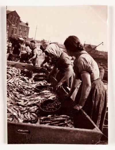 Pêche, femmes pêcheuses triant le poisson, port de Whitby, North Yorkshire, vers 1905 - John Pardon