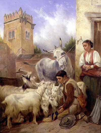 Nourrir des chèvres à l