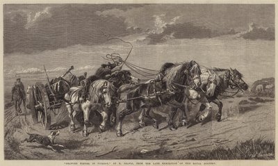 Transport de bois en Picardie - Richard Beavis