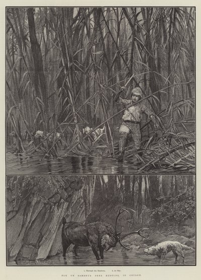 Chasse à l