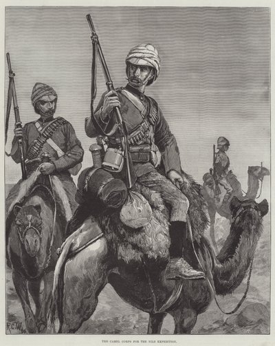 Le corps de chameaux pour l