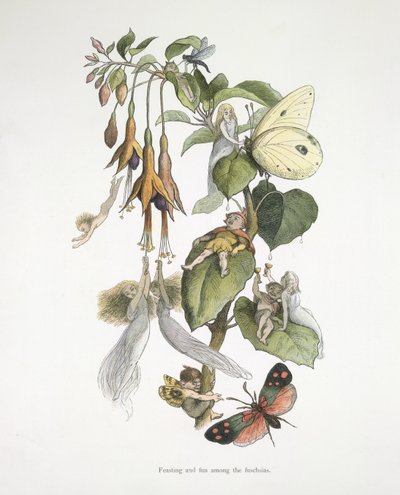 Festin et amusement parmi les fuchsias - Richard Doyle