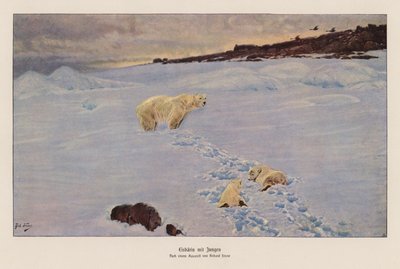 Ours polaire et oursons - Richard Friese