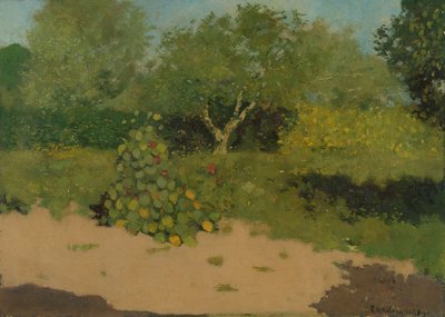 Coin de jardin avec capucines - Richard Nicolaus Holst Roland