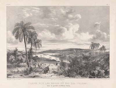 Campos sur les bords du Rio das Velhas - Richard Parkes Bonington