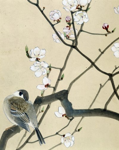 Oiseau - dessin japonais par Riou Chim - Riu Chim