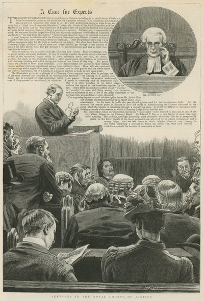 Une affaire pour experts : Croquis dans les Cours Royales de Justice ; avec une vignette de M. Justice Kay - Robert Barnes
