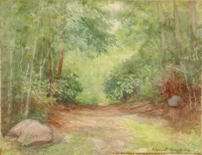 Scène de forêt sans titre, 1902 - Robert Bruce McDougall