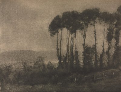 Camera Work: Vallée de Toucques - Robert Demachy