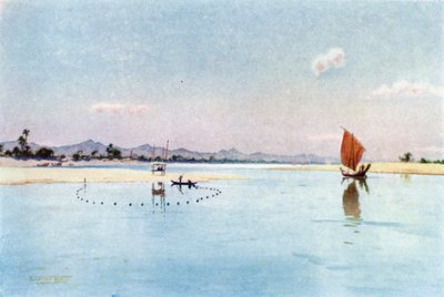 Pêche au filet sur l