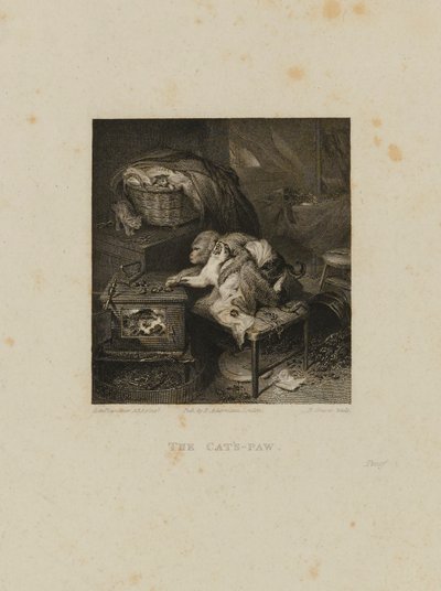 La patte du chat - Robert Graves