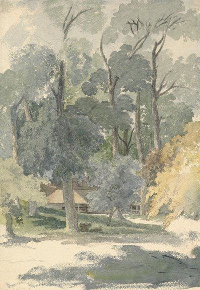 Arbres et granges dans le parc d