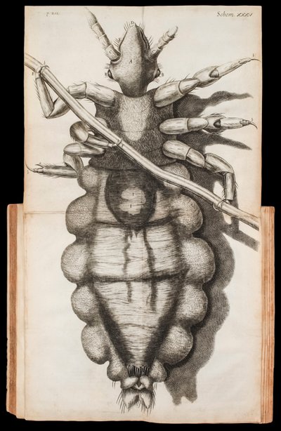 Illustration dépliante d