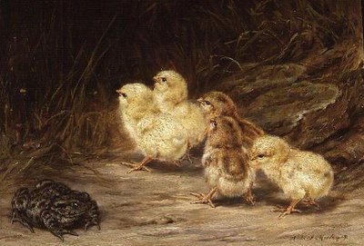 Poussins et crapaud - Robert Morley