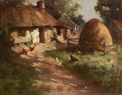 Poules près d