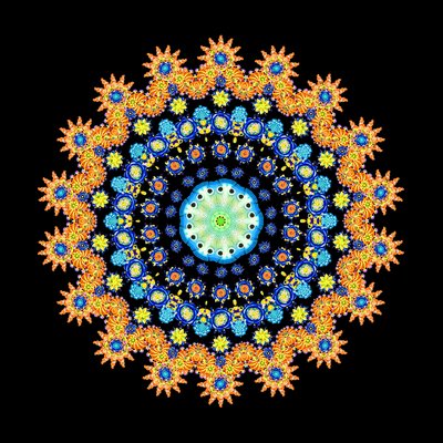 Roue de poisson tropical 2 - Robyn Parker