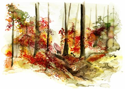 Une escapade surf dans la forêt d