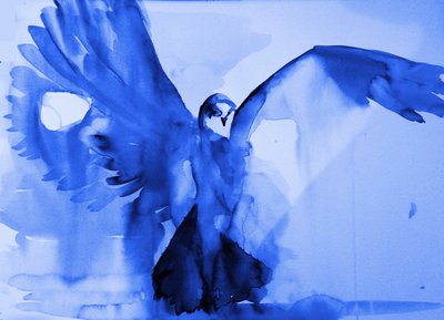 Le vol de la colombe bleue - RodMacIver