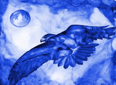 Le vol de la Lune du Faucon Bleu - RodMacIver