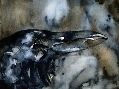 Profil de Dark Raven - RodMacIver