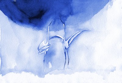 Élégantes grues bleues - RodMacIver