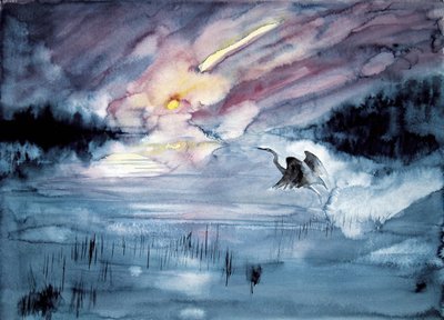 Héron, comète volante dans le ciel - RodMacIver