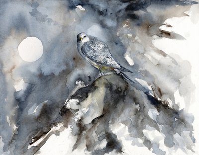 Observation des faucons au clair de lune - RodMacIver