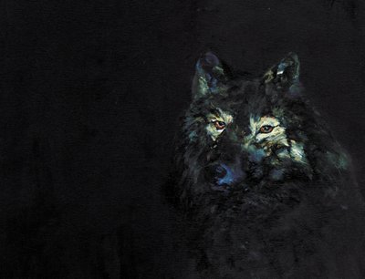 Le mystérieux loup noir - RodMacIver