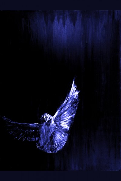 Le vol de la chouette bleue mystique - RodMacIver
