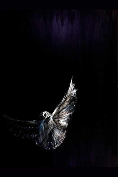 Le vol nocturne des hiboux - RodMacIver