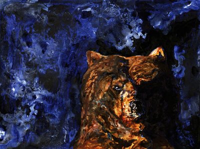 Le regard puissant du grizzli - RodMacIver
