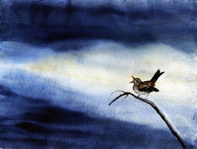 Oiseau chanteur - Ciel nocturne - RodMacIver
