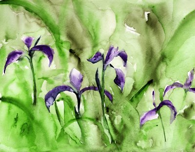 Un jardin d