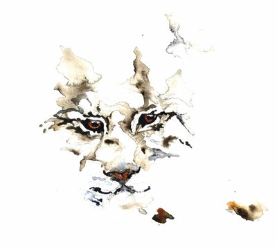 Aquarelle « Lynx sauvage » - RodMacIver