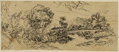 Paysage de la côte ouest - Rodolphe Bresdin